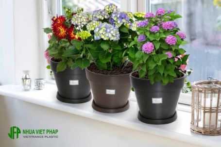 Sản phẩm trang trí ngoài trời Nhựa Việt Pháp