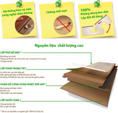 Cấu trúc vật liệu ván sàn gỗ Robina