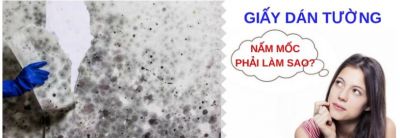 Giải pháp xử lý giấy dán tường bị mốc