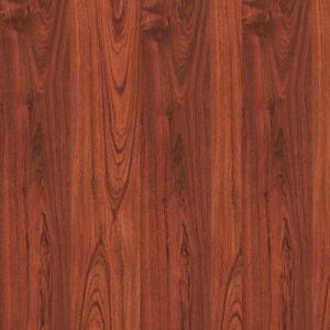 Sàn gỗ Robina T11